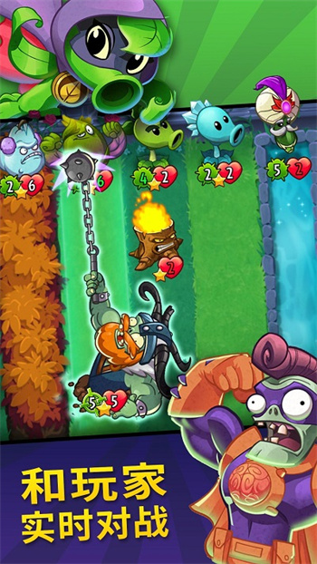 pvzӢʯò˵