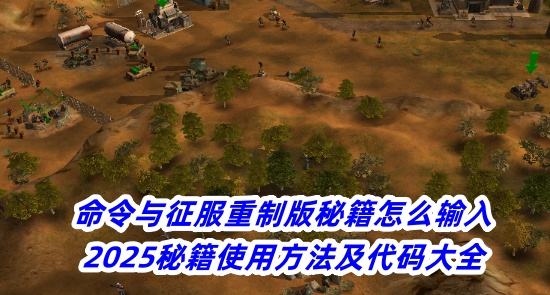 ưؼô-2025ؼʹ÷ȫ
