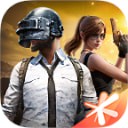 和平精英国际服手游官方版 v1.32.11