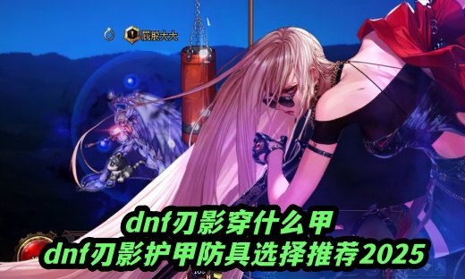 dnf刃影穿什么甲 dnf刃影护甲防具选择推荐2025