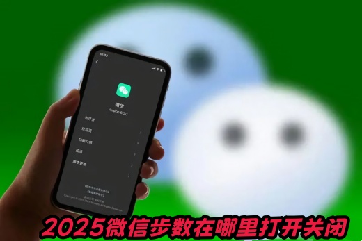 2025΢Ų򿪹ر