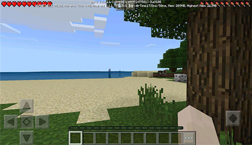 minecraft1.21国际版