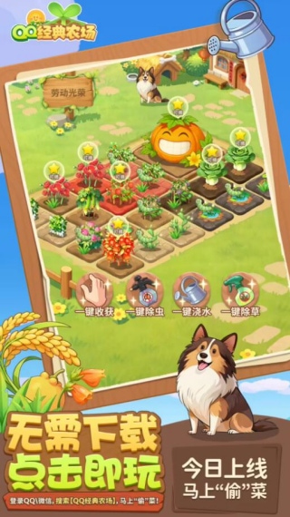 Ͽ���Ժ�Ҳ���ֲˣ���Ѷ��������ҫ��ũ���淨����