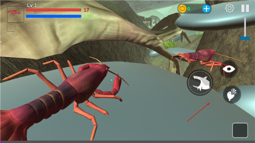 ���״���ɱ�ֻ���