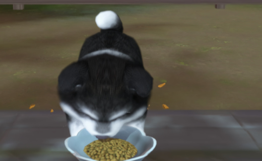 �����������������°�