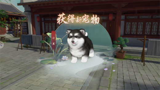 ������������ΰ�