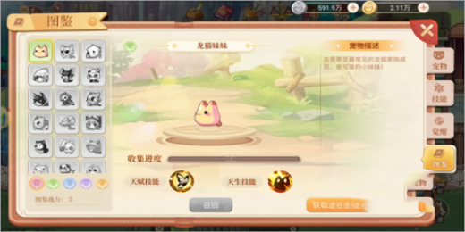 ���㵺�ƽ�������ڹ�